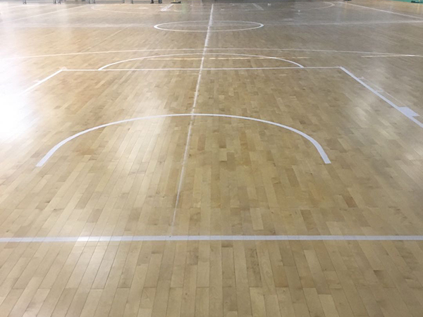 開發區室内木地闆籃球場